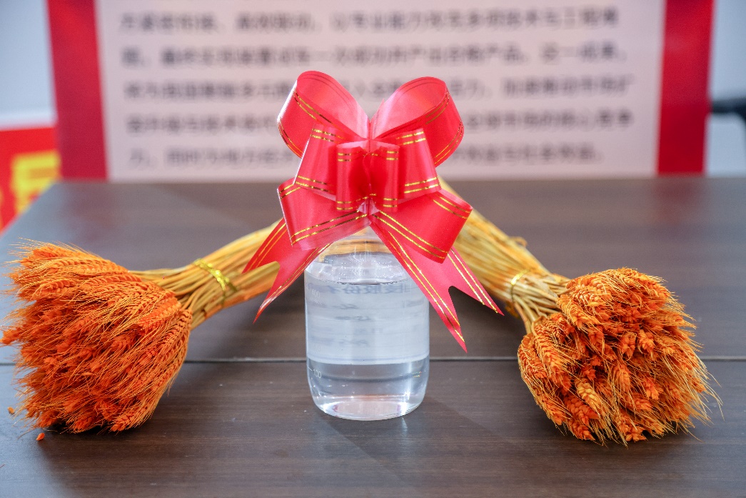 xc sports(中国区)-官方网站